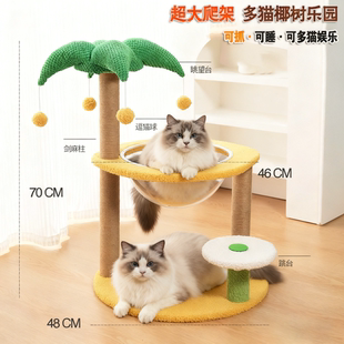 猫爬架猫窝一体仙人掌造型耐磨立式猫跳台不占地小型家用玩具