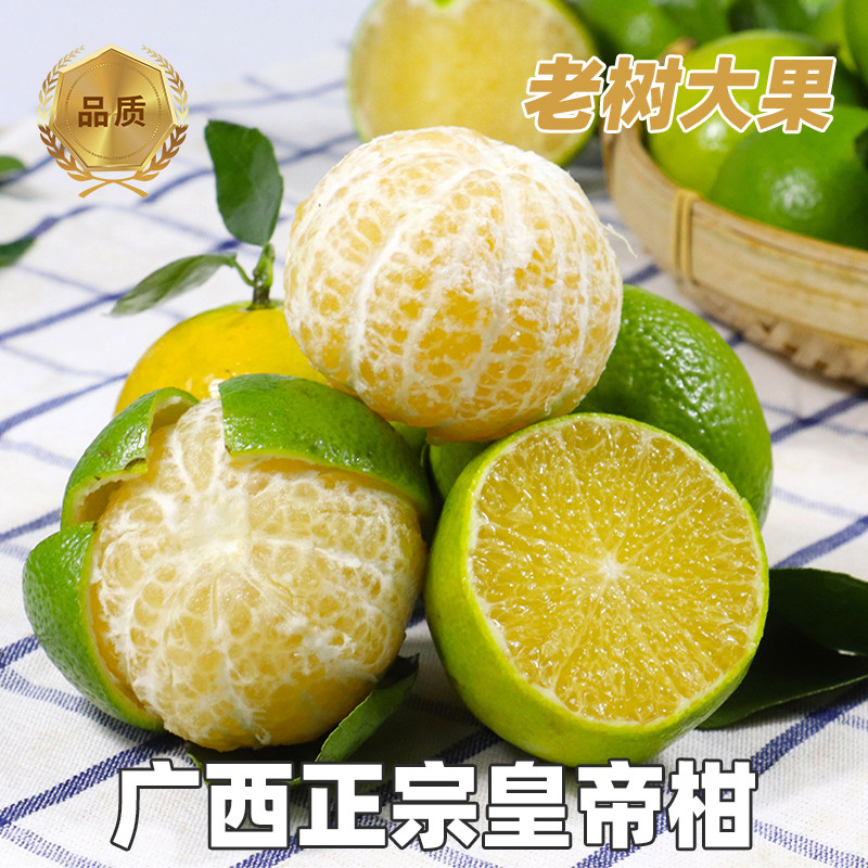 正宗广西皇帝柑新鲜橘子水果沃蜜桔子贡柑甜橘老树大果10当季现摘