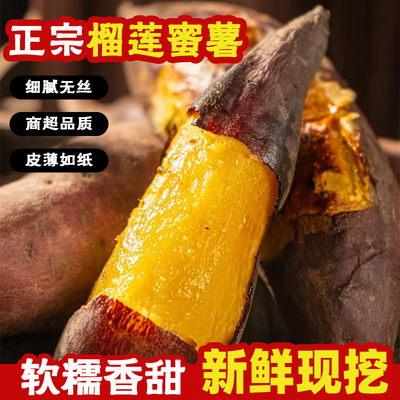 正宗榴莲蜜薯黄心红薯新鲜农家自种番薯应季蔬果软糯沙地地瓜包邮