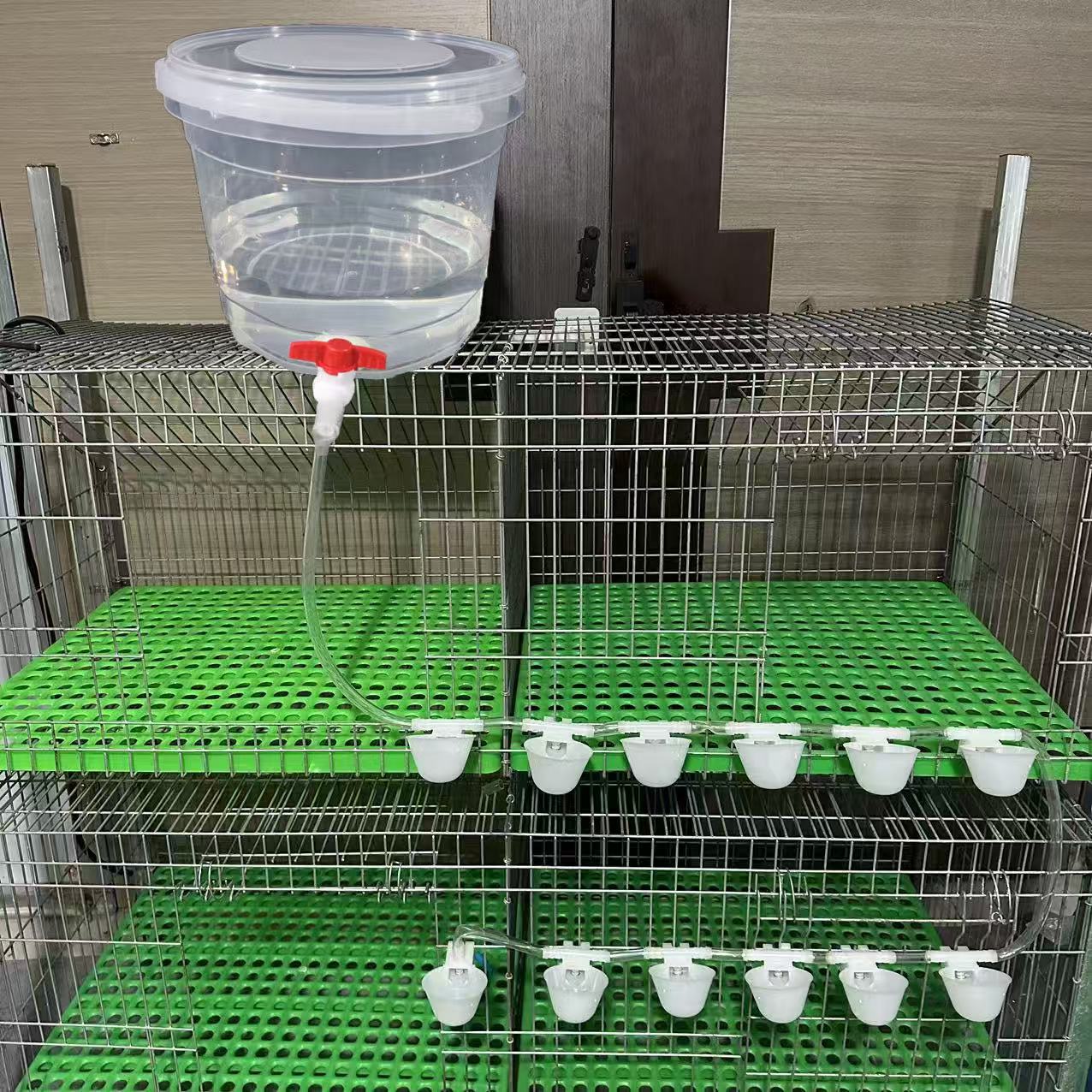 自动喂水器芦丁鸡鸽子饮水一整套喂鸡自动饮水器兔鸡鸭鹌鹑饮水器