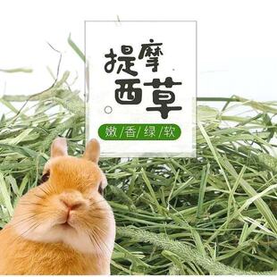 【兔兔干草】提摩西草兔子干草晒干进口多叶实惠特价草饲料牧草