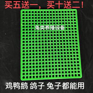 兔用底板脚垫兔子笼底板塑料底板兔用漏粪板鸽子脚垫防啃宠物笼子