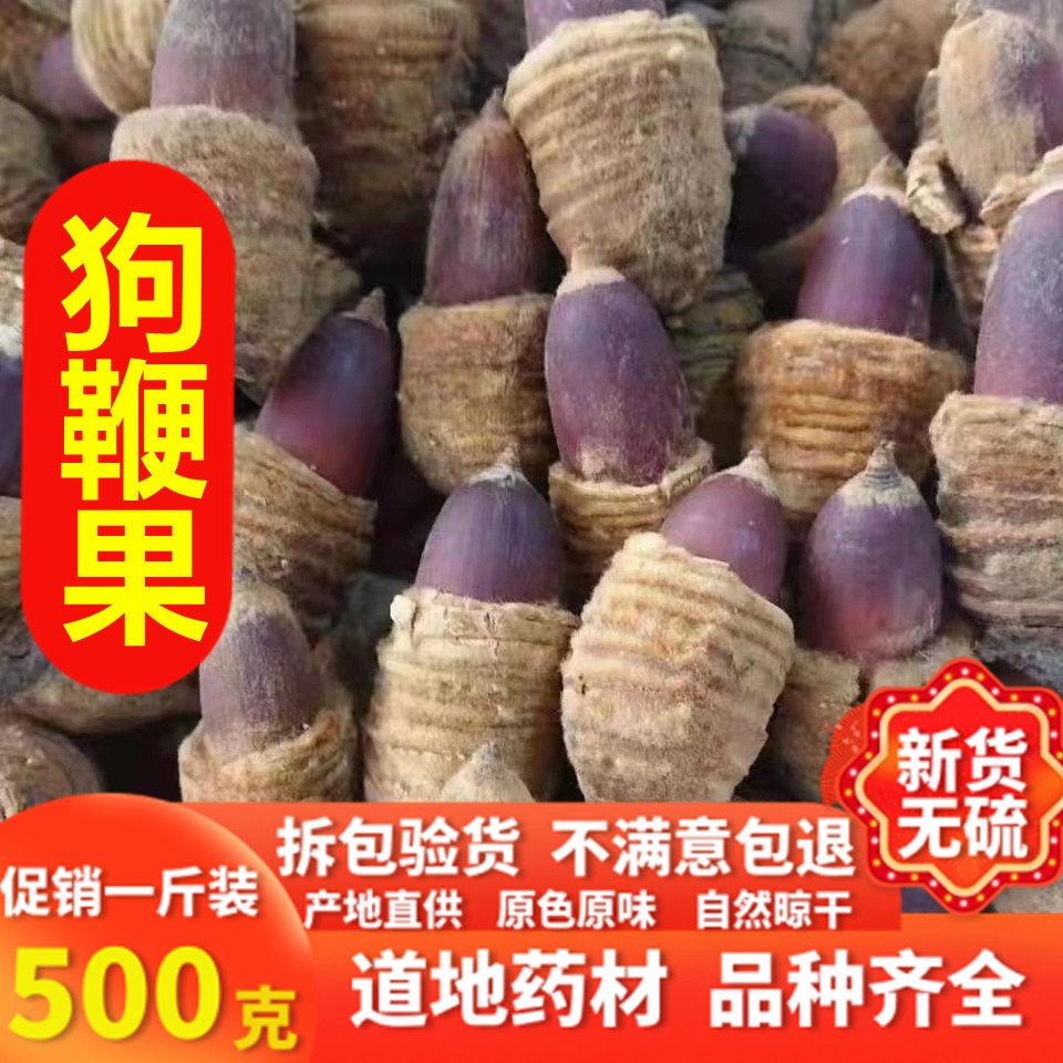 狗鞭果风流果猪仔粒男人泡酒中药材干货毛毛果锁阳果