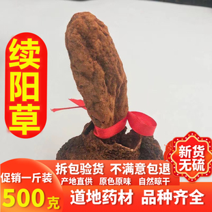 正宗西藏顶天柱续阳草回春草不老草 肾阳草 肉苁蓉锁阳男性泡酒料