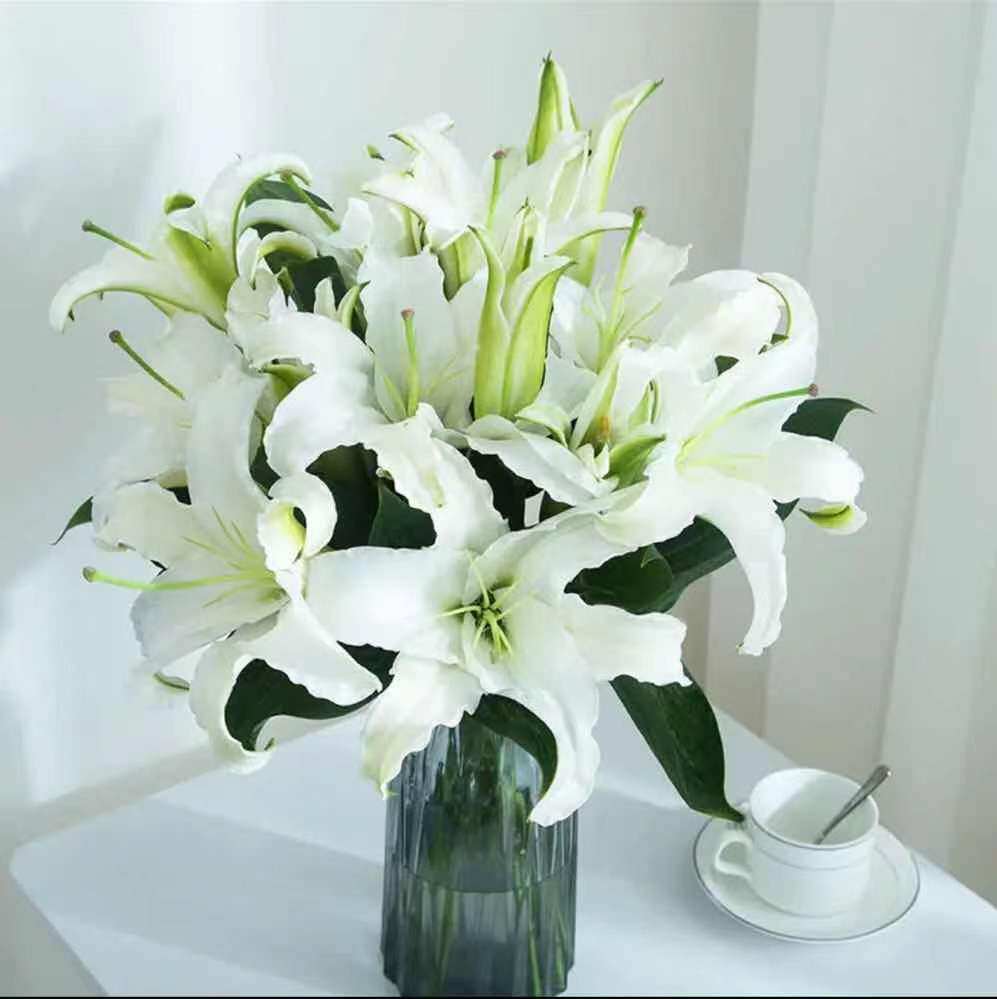 云南鲜花百合20个花苞 云南鲜花现采直发新鲜室内客厅水养花鲜切