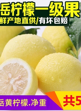 柠之恋  四川安岳柠檬黄柠檬新鲜水果一级果1250g批发包邮