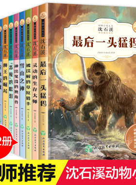 沈石溪动物小说全集12册正版书沈石溪的书全系列全套经典最后一头猛犸流星龙王神风火烈鸟狮王的崛起儿童文学课外书籍