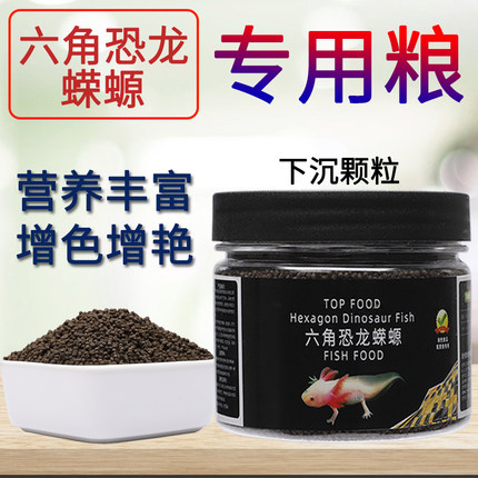 六角恐龙鱼饲料娃娃鱼东方蝾螈专用鱼粮六角龙六六沉底鱼食小颗粒