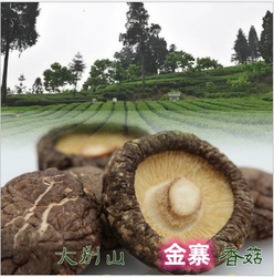 安徽大别山土特产长寿之乡金寨香菇无根农家蘑菇干货食材500g