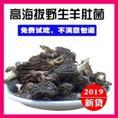 野生羊肚菌干货2022年特级半斤250g野生高原食用菌甘云南菌菇汤
