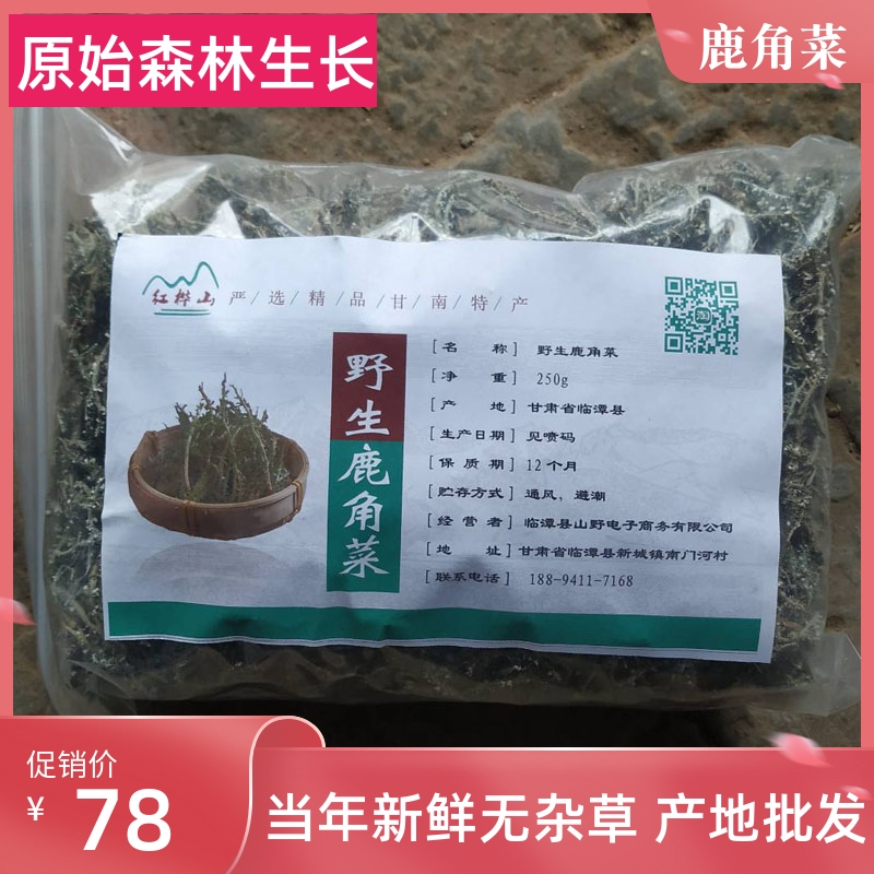 甘南特产野生鹿角菜干货野生菜甘肃山野菜野生凉拌菜500g角叉菜