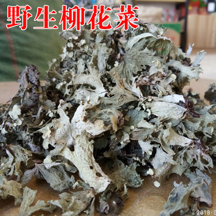 野生柳花菜甘南特产绿木耳高端野菜拌凉菜下酒菜藏区干货250g 包邮