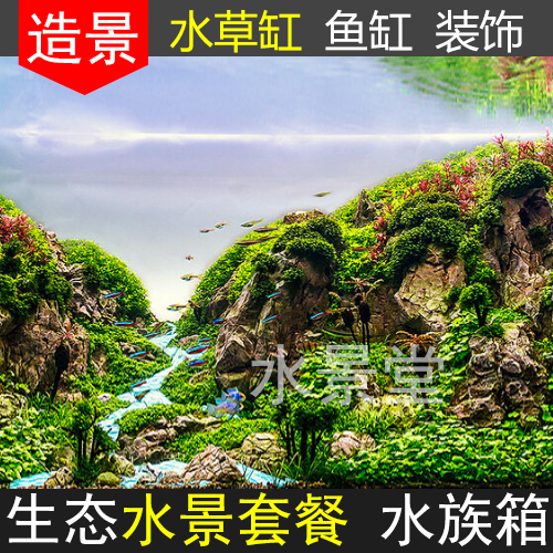 青龙石套餐石菲律宾沙白沙天然鹅卵石水草莫斯