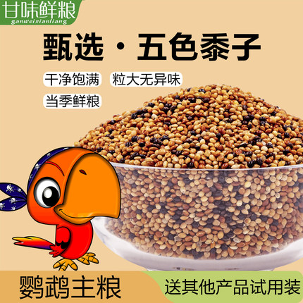 五色黍子鹦鹉鸟粮虎皮小太阳玄凤和尚带壳混合粮食鸟食黄谷子饲料