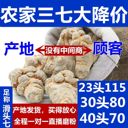 云南文山春三七特级20头30头云三七田七粉正品野生500g代磨超细粉