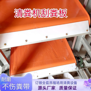 刮粪板PP塑料耐磨不伤粪带养殖场专用肉蛋鸡清刮粪设备输送带配件