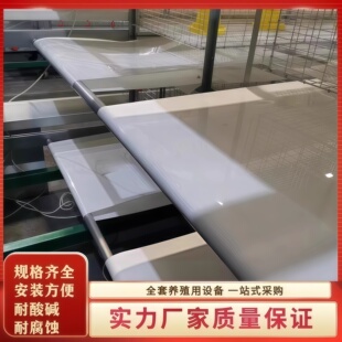 PP清粪带养殖场自动清粪机白色耐磨输送带鸡舍粪便刮粪机拖布配件
