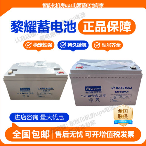 Leayo黎耀铅酸蓄电池12v全型号