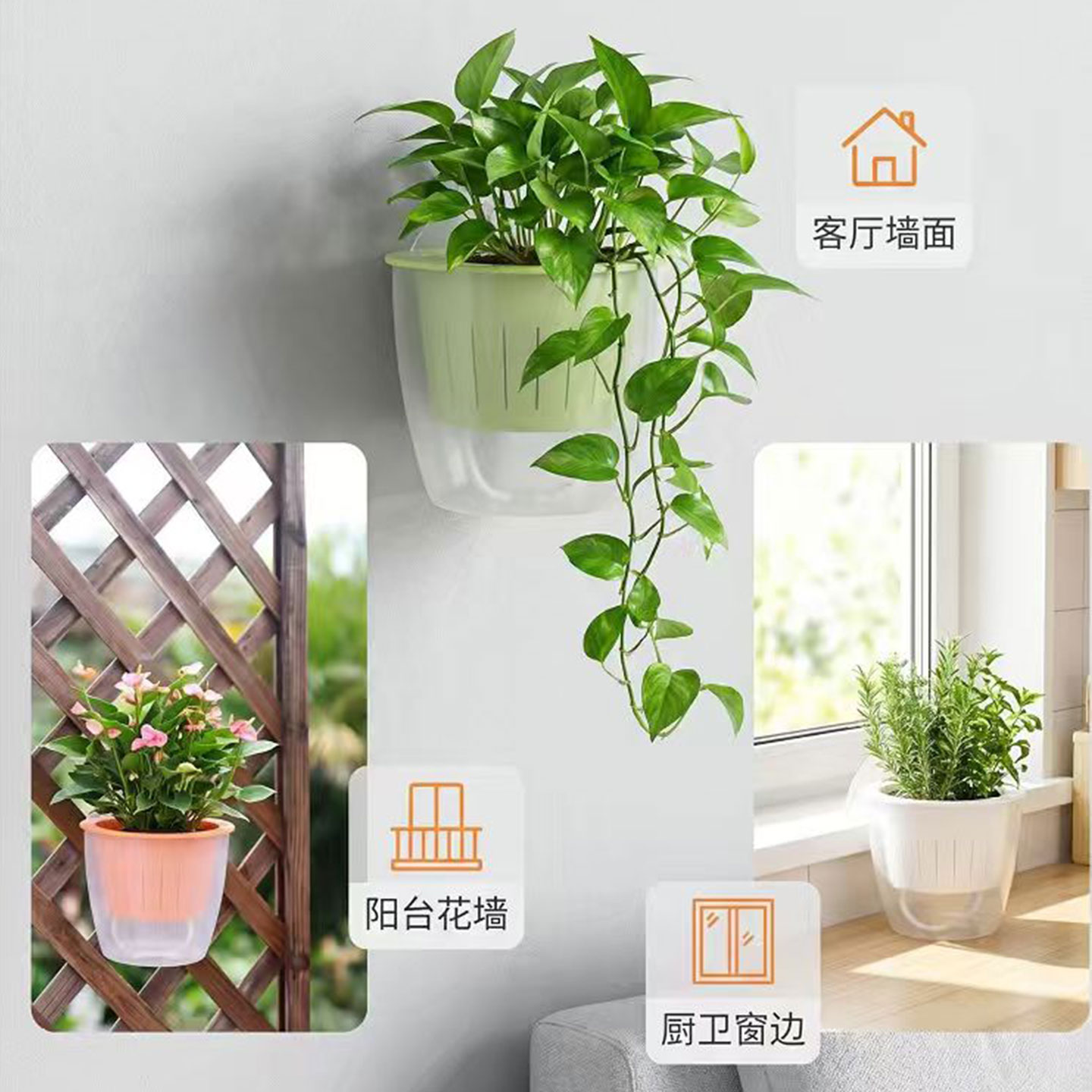 塑料壁挂花盆免打孔自动吸水墙上悬挂盆栽水土培绿萝吊兰大号家用