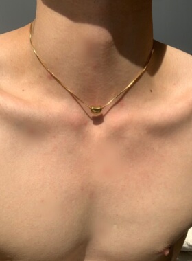 SCMEN简约小众钛钢项链不掉色锁骨链短款银色项链男金色项链女