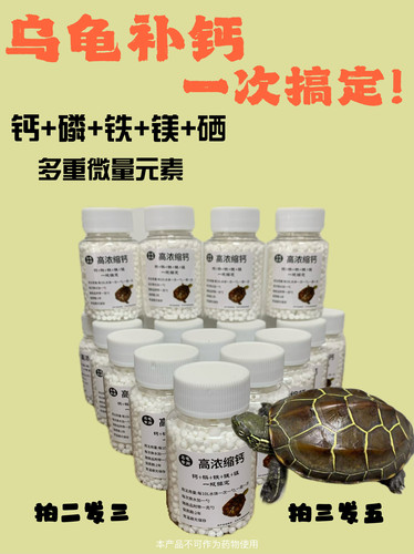 乌龟补钙 预防软甲烂甲  龟鳖补微量元素提高免疫力