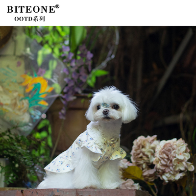 BITEONE【OT25020】猫咪狗狗衣服法式浪漫茶歇裙秋冬新款