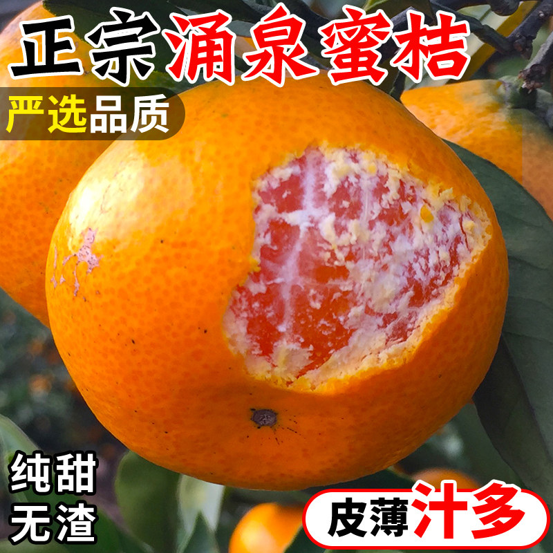 正宗临海涌泉蜜桔新鲜橘子10桔子斤整箱当季时令水果官方旗舰店