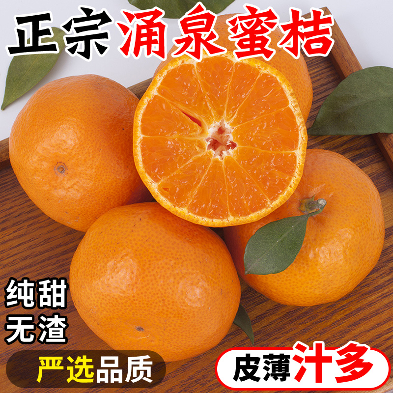 正宗高山涌泉蜜桔，现摘现发