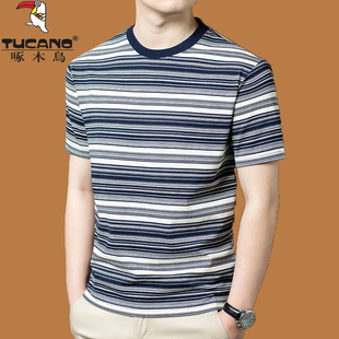 啄木鸟高级感冰丝t恤男短袖夏季圆领条纹半袖休闲薄款丝光棉上衣T