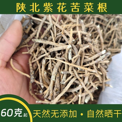 陕北紫花苦菜根 |天然野生苦菜纯根乳苣苦芯菜根泡茶煮水正品包邮
