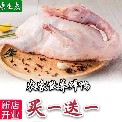 新品促销价【2只】活体现杀鸭子