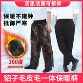 男中老年冬季 保暖皮草棉裤 加绒加厚大码 貉子毛皮毛一体真皮皮裤 裤