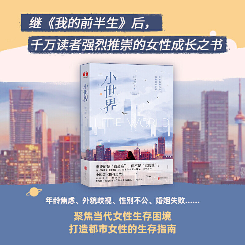 【官方店】小世界 北京联合出版汪一洋跨国婚姻破碎女建筑师深陷婚姻