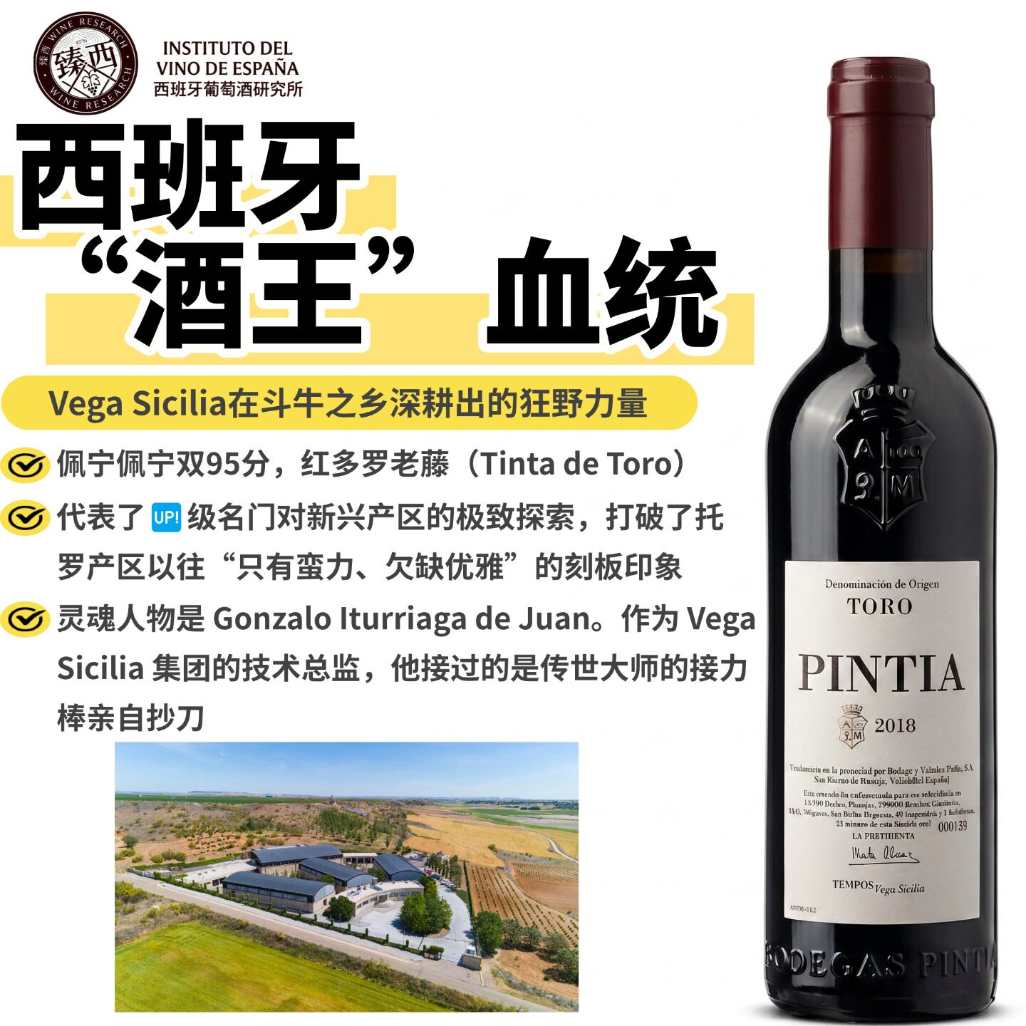 西班牙名庄原瓶进口D.0.Toro托罗产区Pintia缤蒂亚红葡萄酒375ml