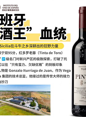 西班牙名庄原瓶进口D.0.Toro托罗产区Pintia缤蒂亚红葡萄酒375ml