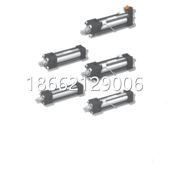 日本TAIYO太阳铁工液压缸拉杆油缸 210H-5 2C A63BB160NAB 薄型缸,标准件/零部件/工业耗材,液压缸,淘宝优惠券,粉丝福利购,淘宝优惠卷