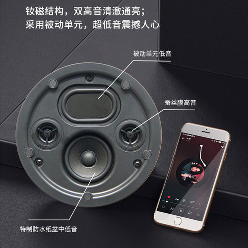 向往HS600 环绕重低音蚕丝低音膜二分频四单元家用吸顶防水喇叭