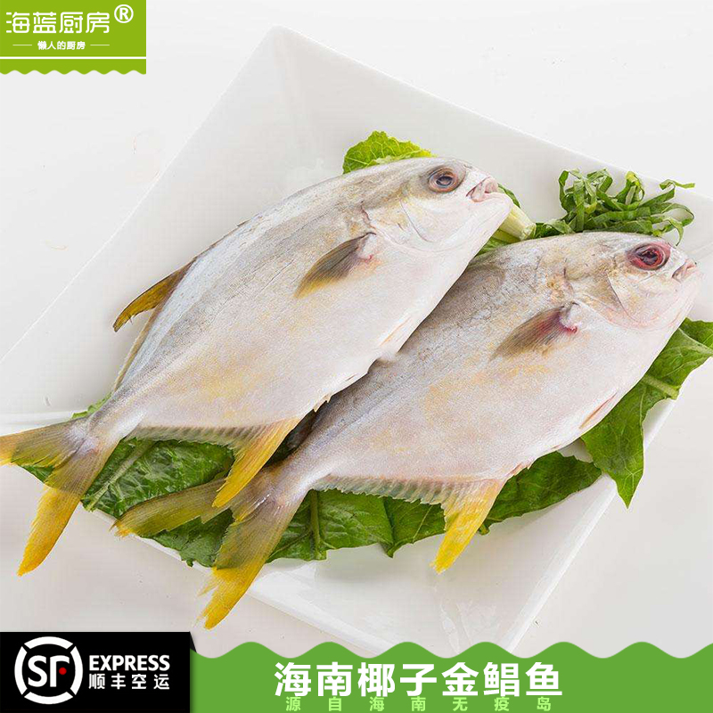 【單拍不發】海南深海新鮮金鲳魚野生海魚1斤同椰子雞拍下有效在類目 水產肉類/新鮮蔬果/熟食, 海鮮/水產品/製品, 其它中 - 來自Buy2taobao.com提供專業的淘寶代購服務