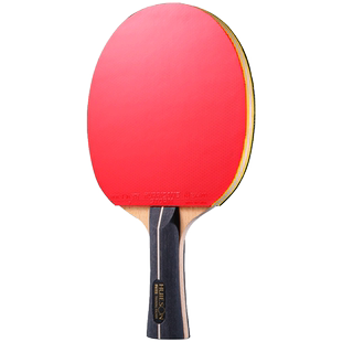 辉胜X1手工定制球拍 初学者学生中考训练比赛乒乓球拍5层纯木球拍