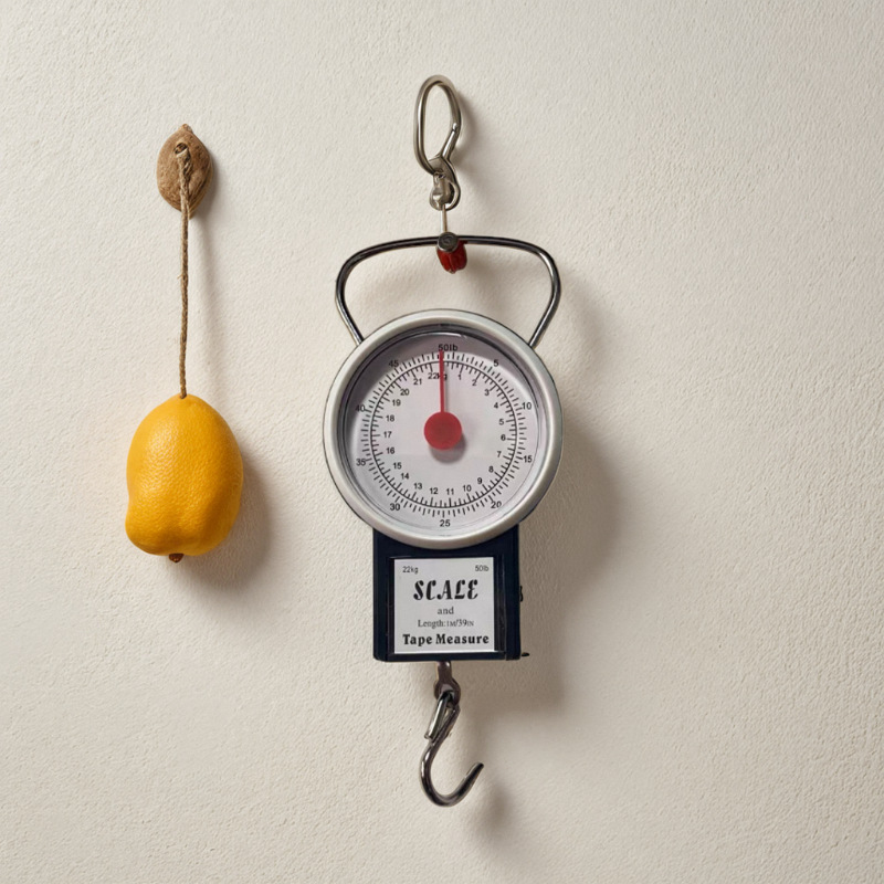 -快递称手提32kg便携式机械称家