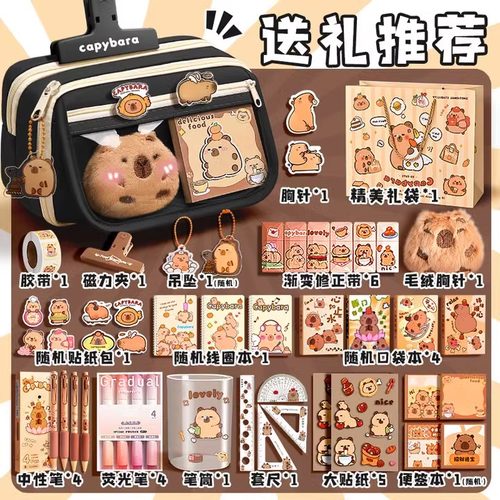 九层翻盖笔袋2025新款高颜值大容量耐脏文具盒卡皮巴拉铅笔小学生