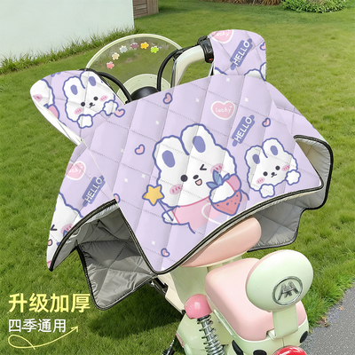 四季新款夹棉中厚挡风被