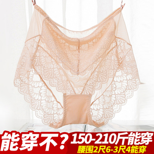 芬汀胖MM内裤 女薄款 特大码 夏蕾丝网纱高腰200斤加大加肥三角内裤
