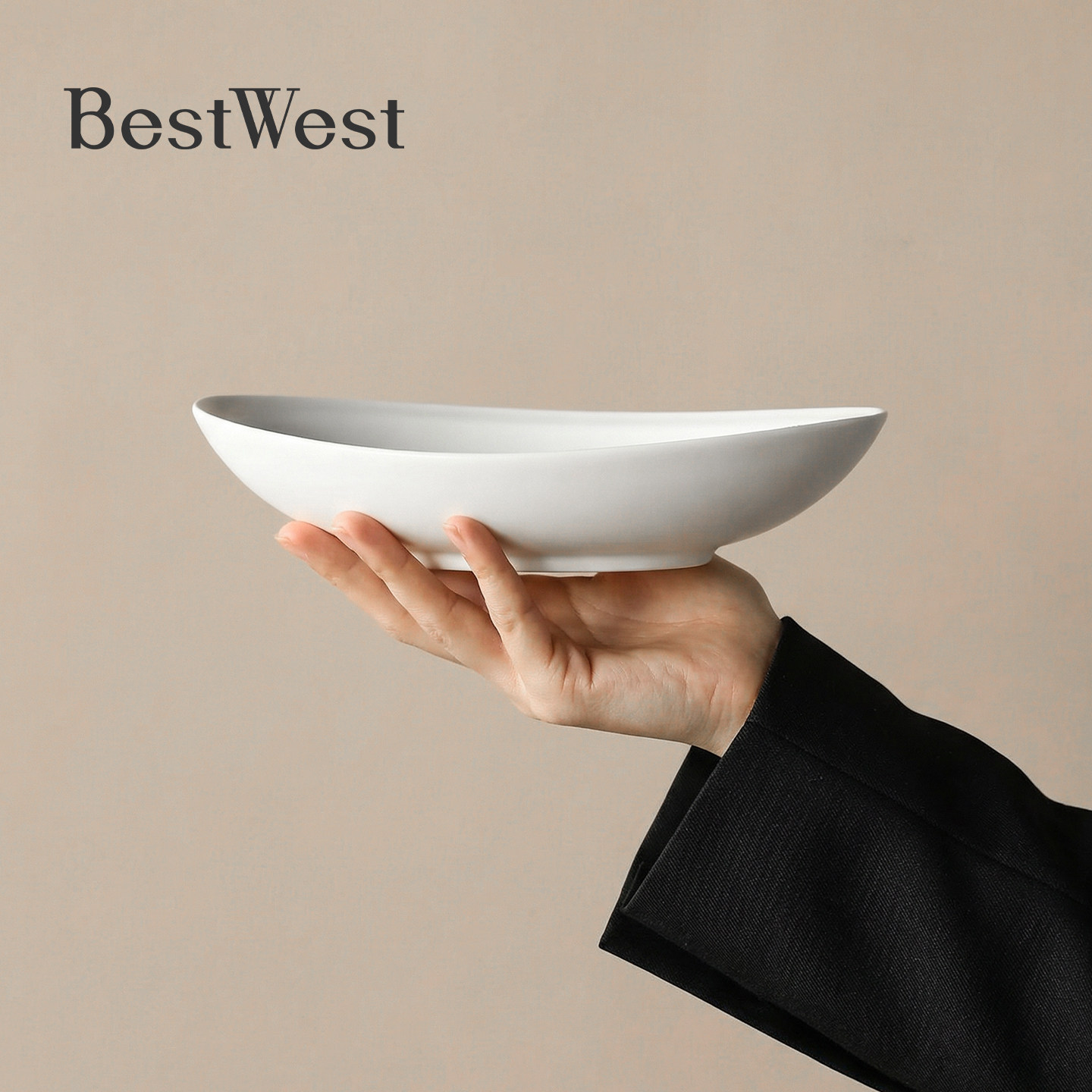 BEST WESTx融白 | 艺术家联名子口船盘家用高级感餐盘餐厅小食盘