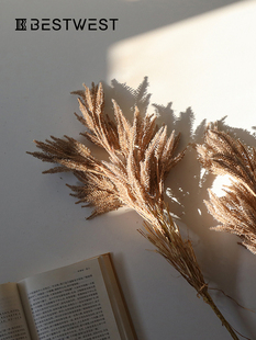 芦苇草人造花无障碍豪华高雅植物彷生花人造花饰品装饰桌花插花客