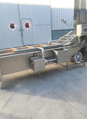 FX-600全自动果气蔬菜清洗机 泡清清洗机价格 蔬洗机厂家