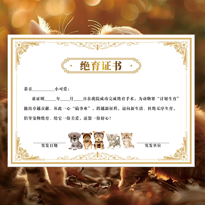 宠物卡通证书猫狗绝育证书