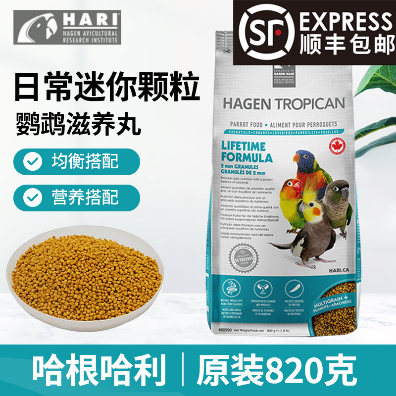 哈根哈利滋养丸中小型鸟粮食