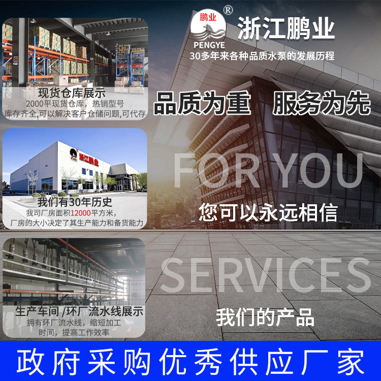 多级潜水泵高扬程220v抽水泵农用灌溉高压农用小老鼠水泵380v降水