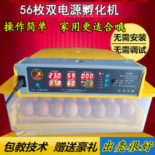 呼蛋器出鸡苗孵化机全自动电包器卵化器双电源浮蛋箱升级款 迷你款